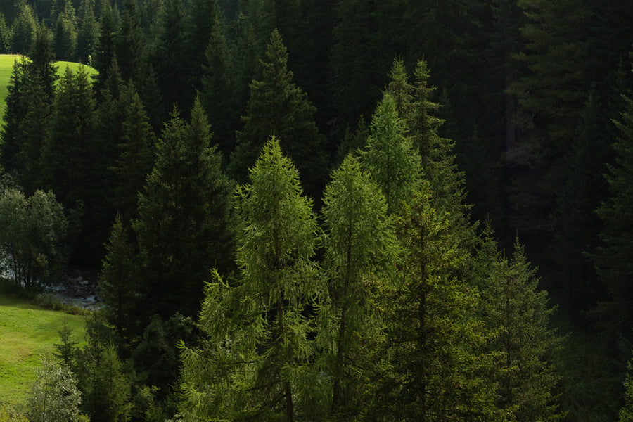 AromaStick Sleep BIO