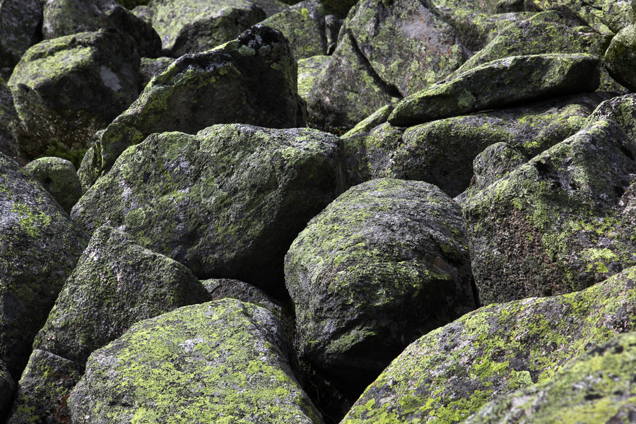 AromaStick Équilibre