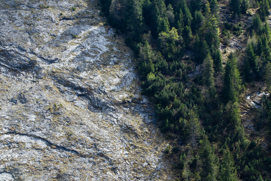 AromaStick Équilibre