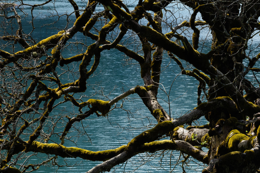 AromaStick Energy BIO