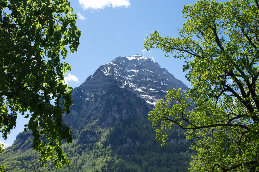 AromaStick Focus BIO