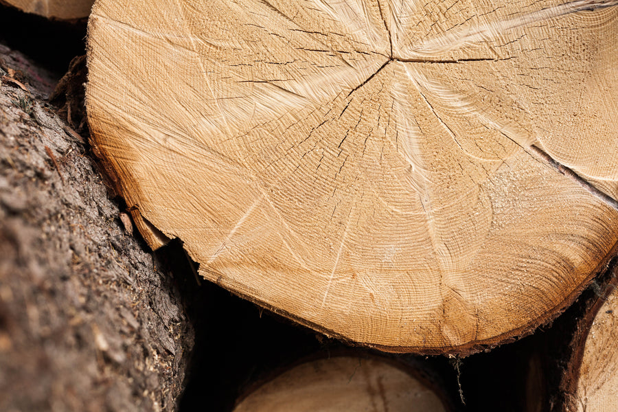 AromaStick Focus BIO