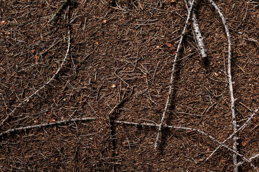 AromaStick Refresh BIO