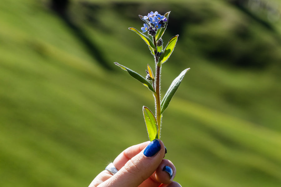AromaStick Équilibre